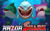 Slot Razor Shark